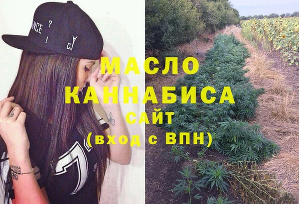 гашик Вязьма
