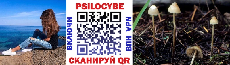 купить   Городище  Псилоцибиновые грибы MAGIC MUSHROOMS 